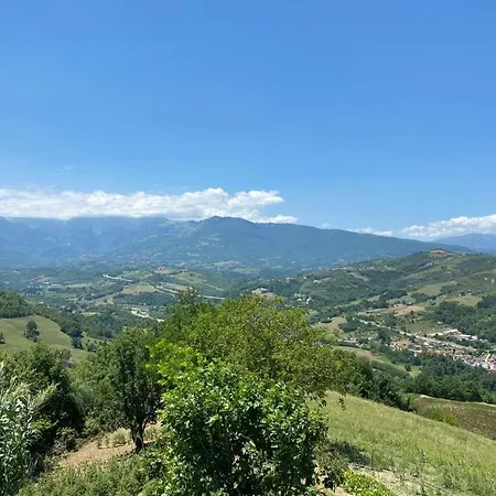 Flara * Basciano